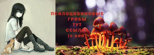 COCAINE Арсеньев
