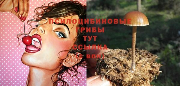 соль ск Аркадак