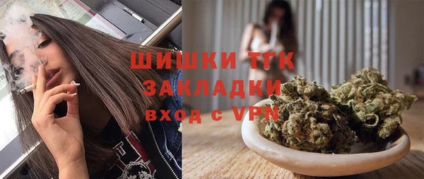 тгк Алзамай