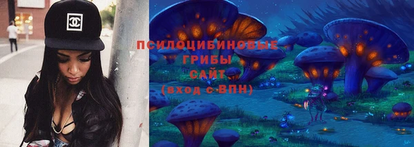 соль ск Аркадак