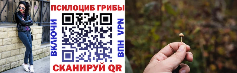 Псилоцибиновые грибы мицелий  блэк спрут зеркало  сайты даркнета как зайти  Пошехонье 
